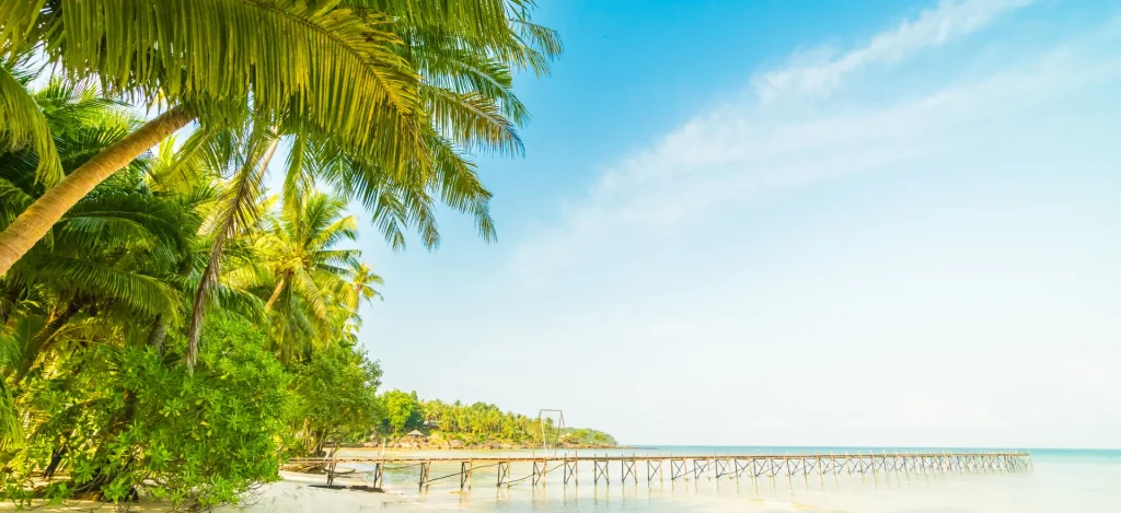 תמונתרקע של חוף ים בסרי לנקה